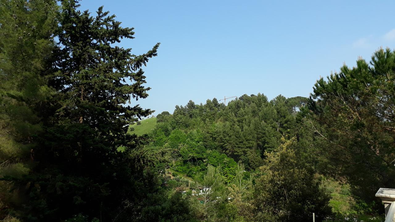 Parco Dei Gelsomini Bed & Breakfast Ascoli Piceno Luaran gambar