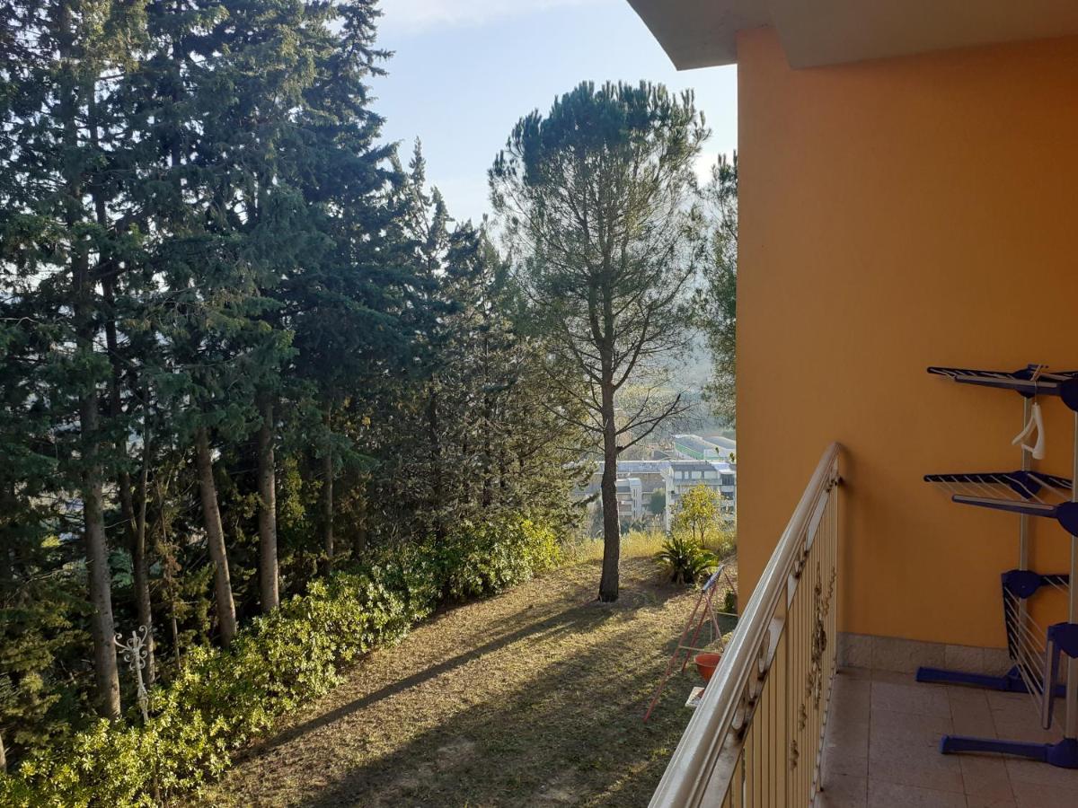 Parco Dei Gelsomini Bed & Breakfast Ascoli Piceno Luaran gambar